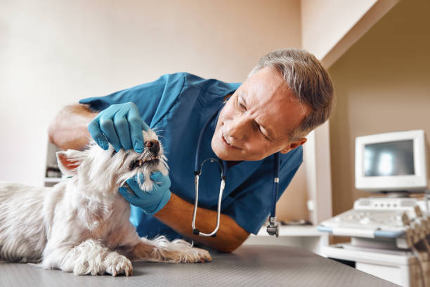 Best Weekend Emergency Dentist in Atascocita, TX